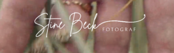 Stine Beck fotograf logo